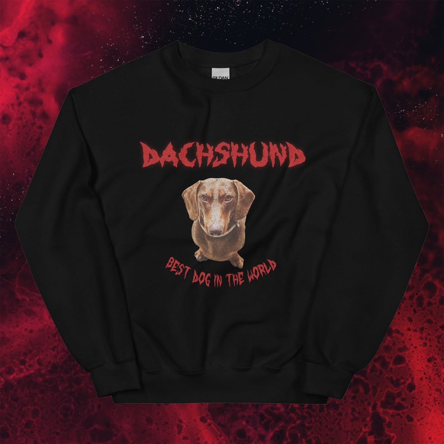 Red Hell Hoodie for Men Gift For Women and Dog Lover