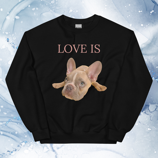 Love Is Sweatshirt for Men Gift For Women and Dog Lover