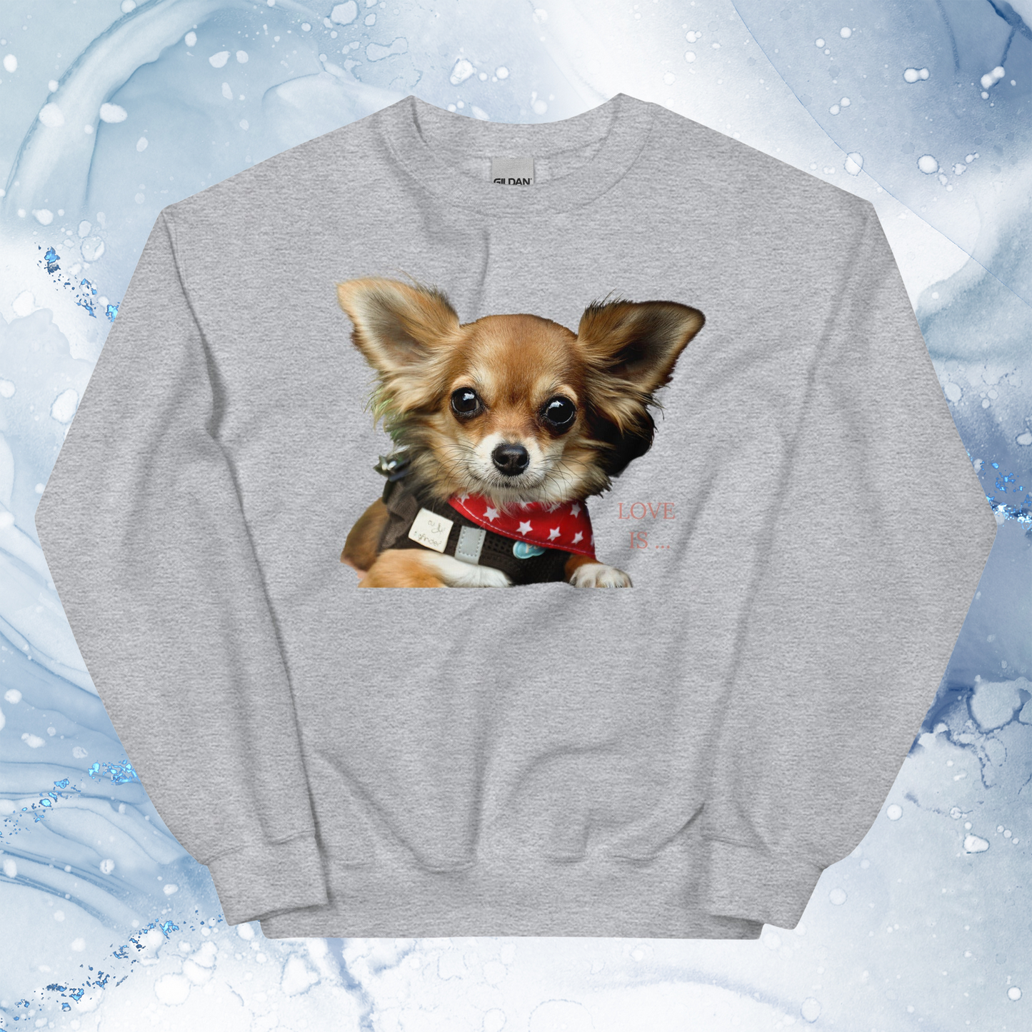 Love Is Sweatshirt for Men Gift For Women and Dog Lover