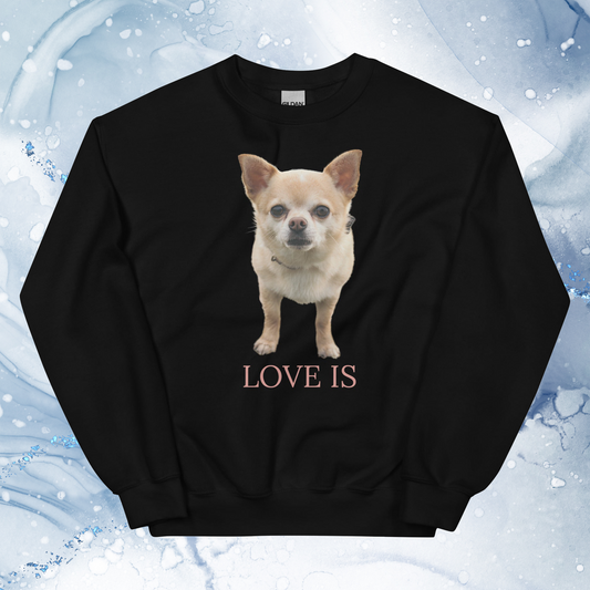 Love Is Sweatshirt for Men Gift For Women and Dog Lover