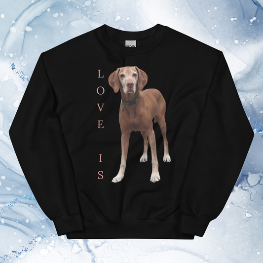 Love Is Sweatshirt for Men Gift For Women and Dog Lover