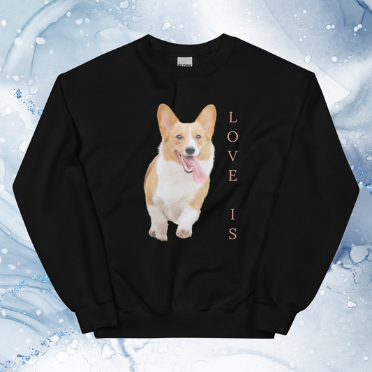 Love Is Sweatshirt for Men Gift For Women and Dog Lover