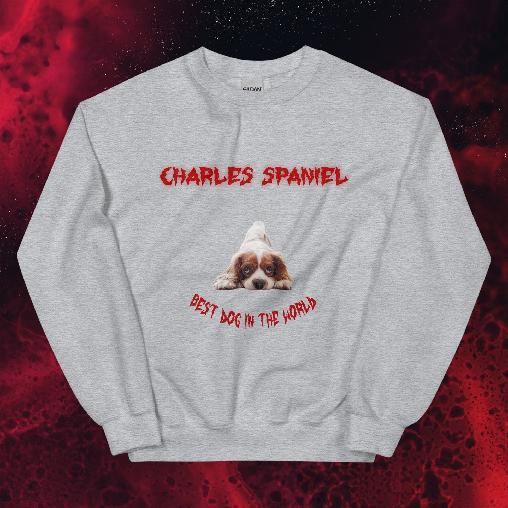 Red Hell Hoodie for Men Gift For Women and Dog Lover