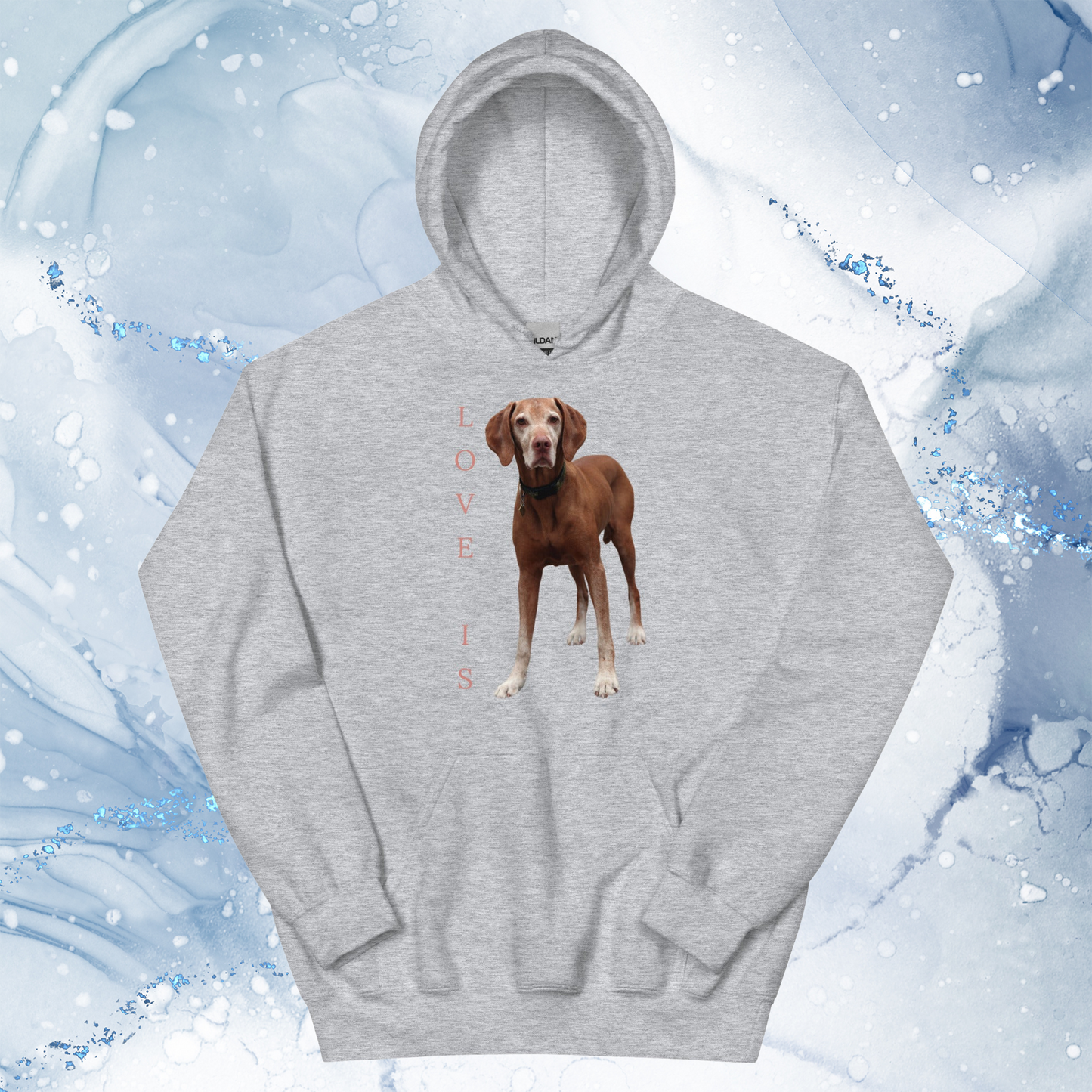 Love Is Hoodie for Men Gift For Women and Dog Lover