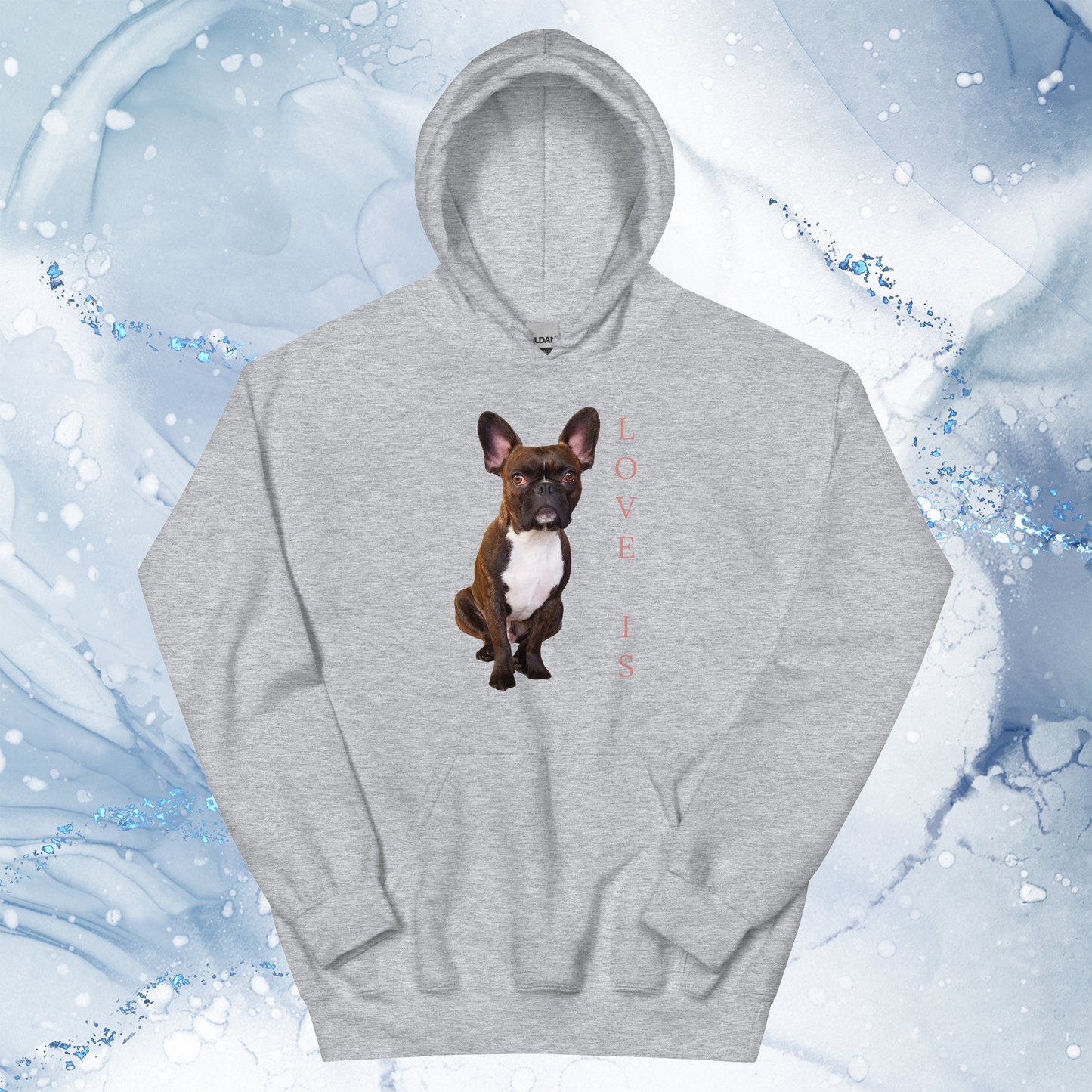 Love Is Hoodie for Men Gift For Women and Dog Lover