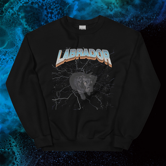 Lightning Sweatshirt for Men Gift For Women and Dog Lover