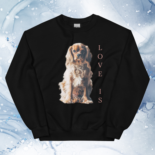 Love Is Sweatshirt for Men Gift For Women and Dog Lover