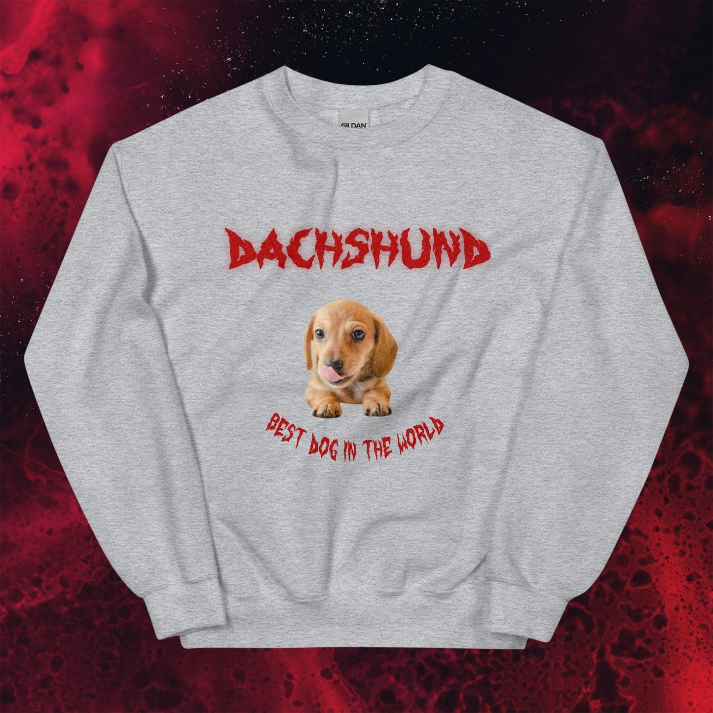 Red Hell Hoodie for Men Gift For Women and Dog Lover