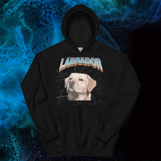 Lightning Hoodie for Men Gift For Women and Dog Lover