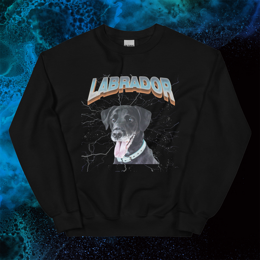 Lightning Sweatshirt for Men Gift For Women and Dog Lover