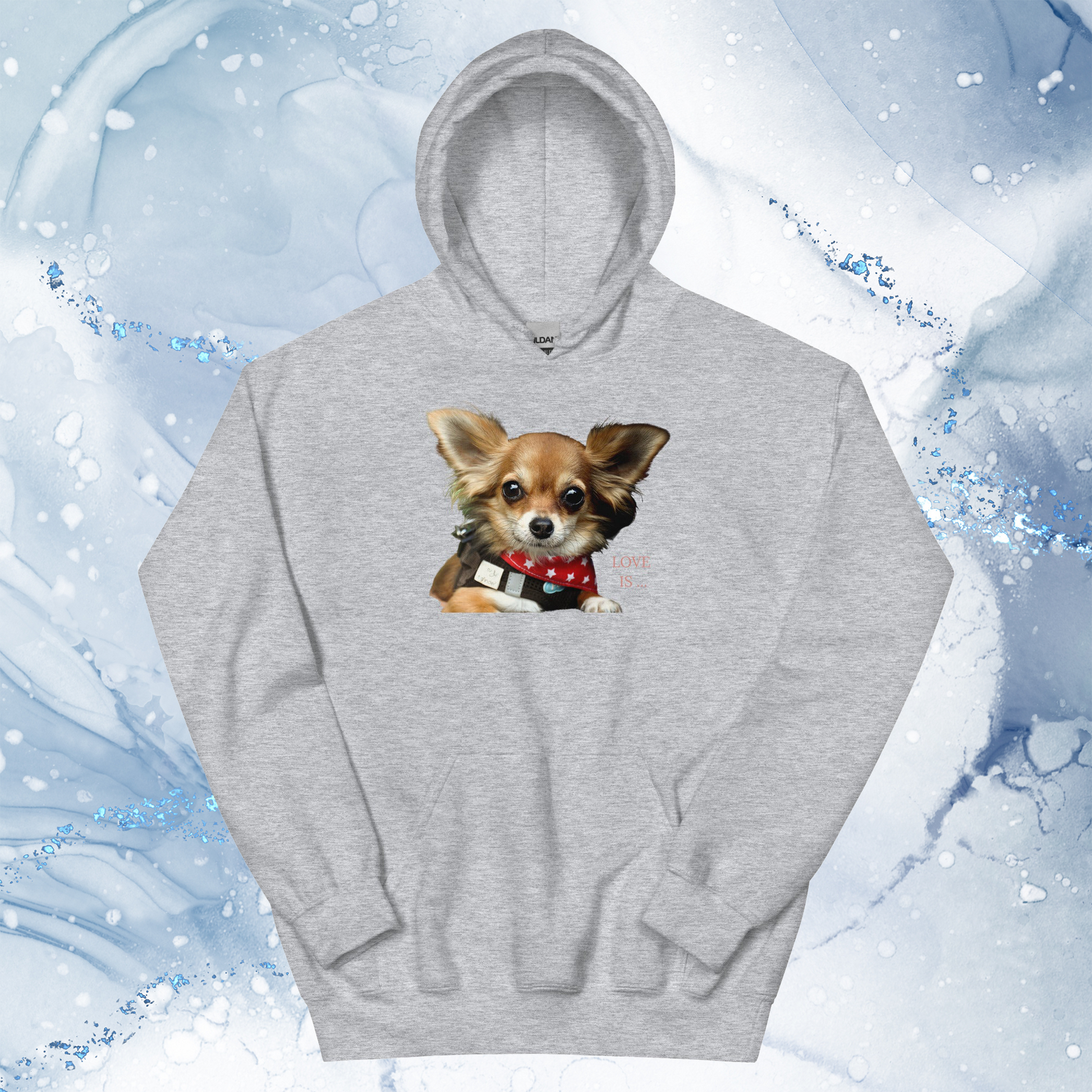 Love Is Hoodie for Men Gift For Women and Dog Lover