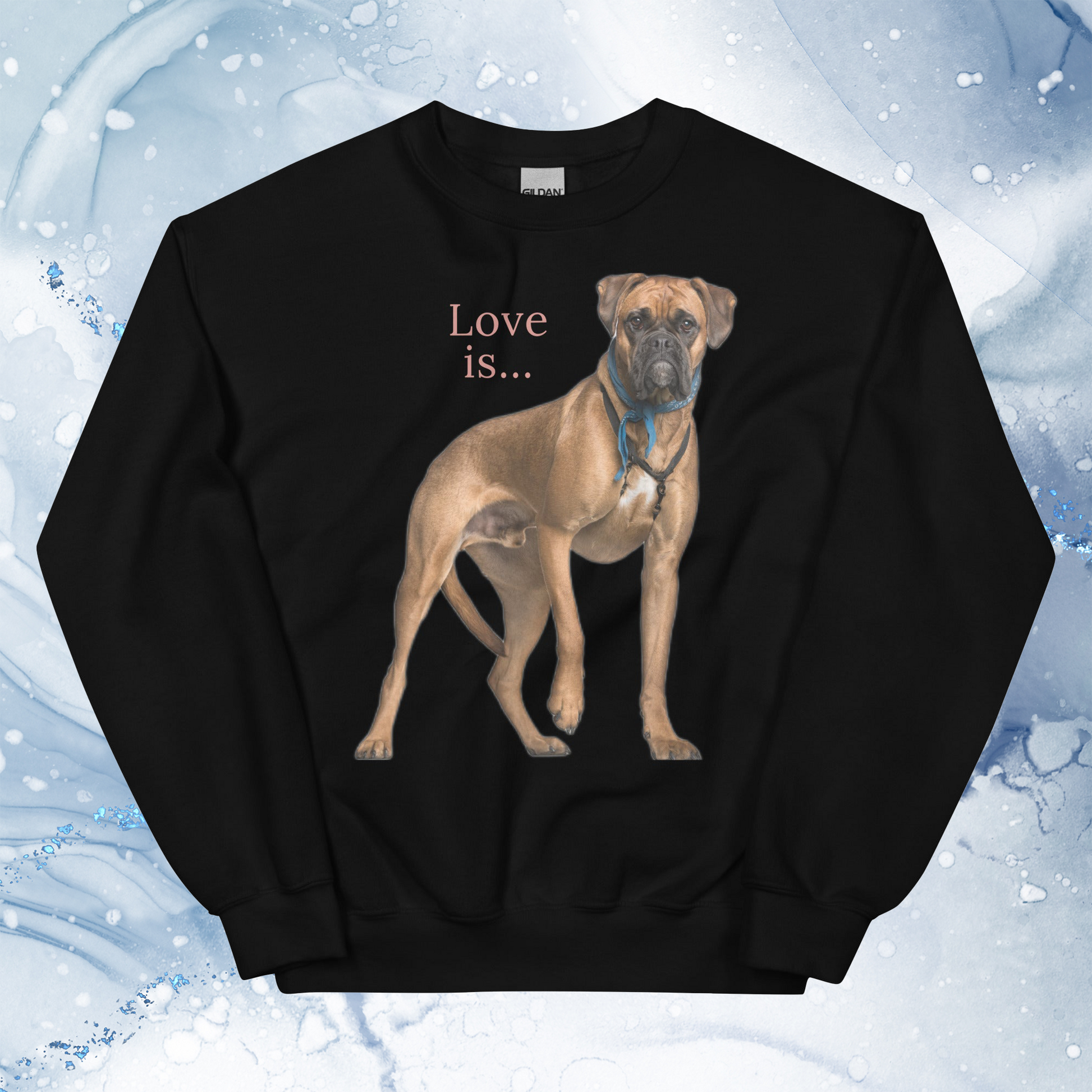 Love Is Sweatshirt for Men Gift For Women and Dog Lover