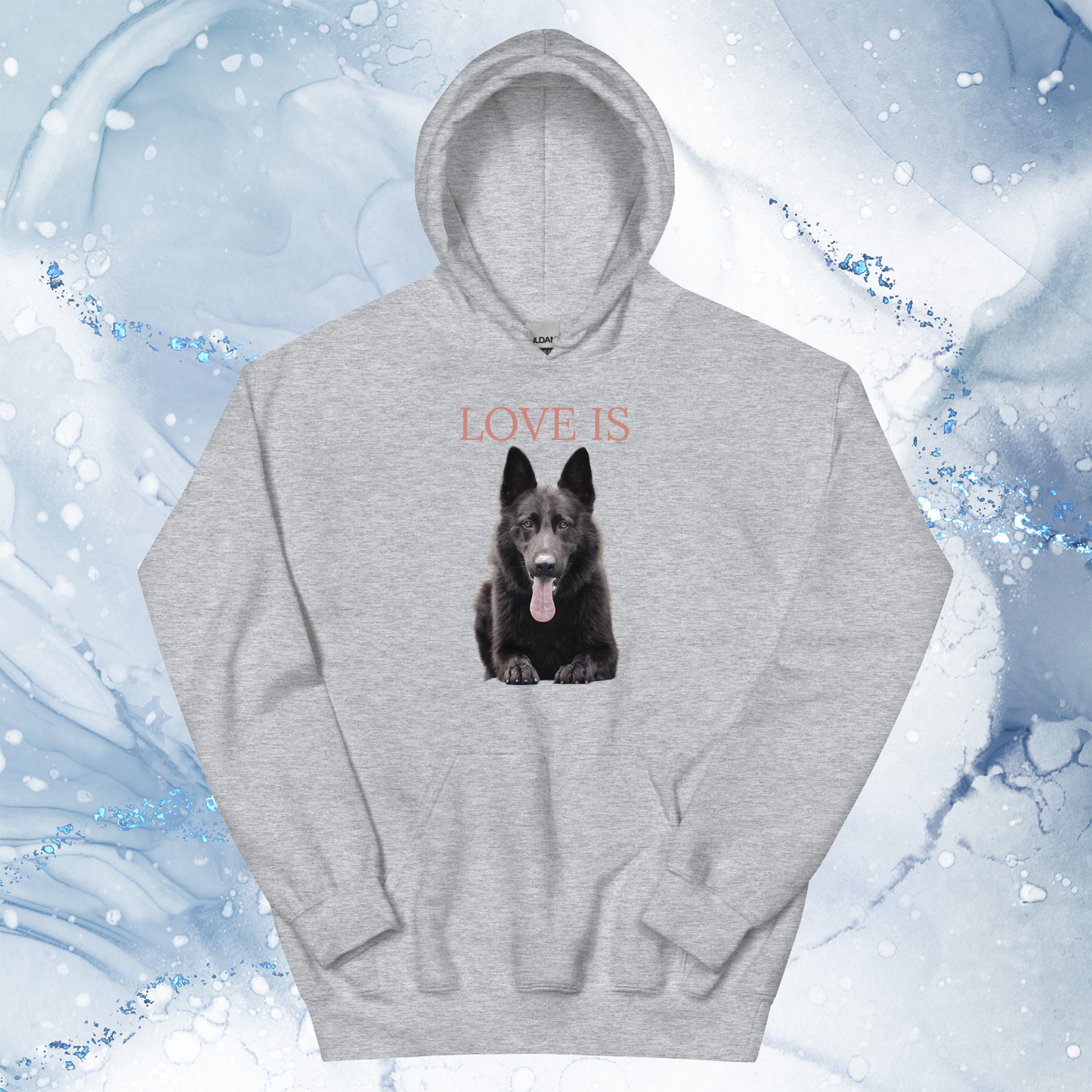 Love Is Hoodie for Men Gift For Women and Dog Lover