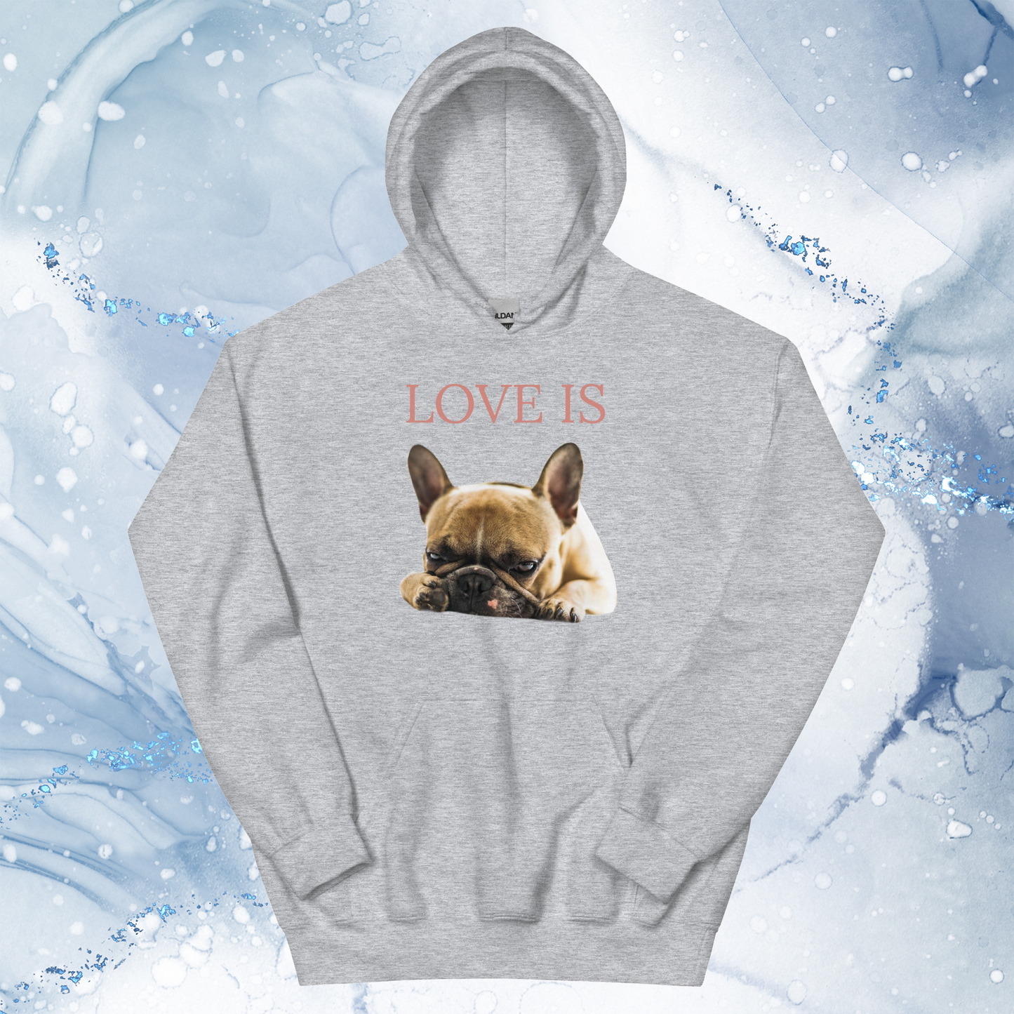 Love Is Hoodie for Men Gift For Women and Dog Lover