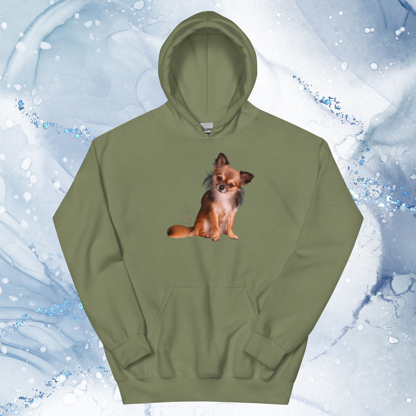 Love Is Hoodie for Men Gift For Women and Dog Lover