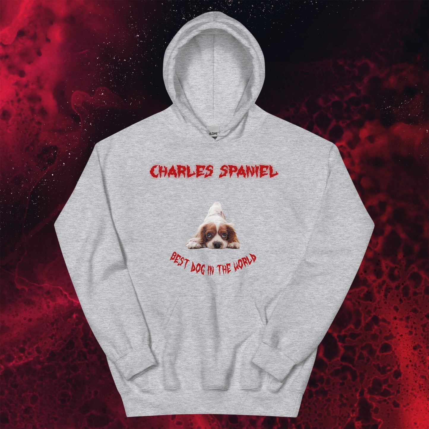 Red Hell Sweatshirt for Men Gift For Women and Dog Lover