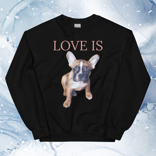 Love Is Sweatshirt for Men Gift For Women and Dog Lover