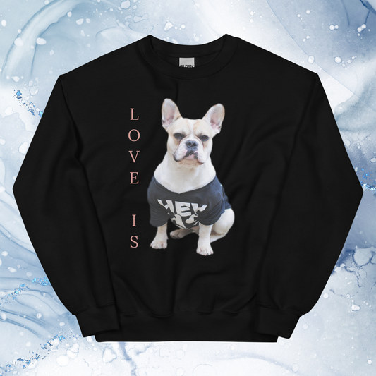 Love Is Sweatshirt for Men Gift For Women and Dog Lover