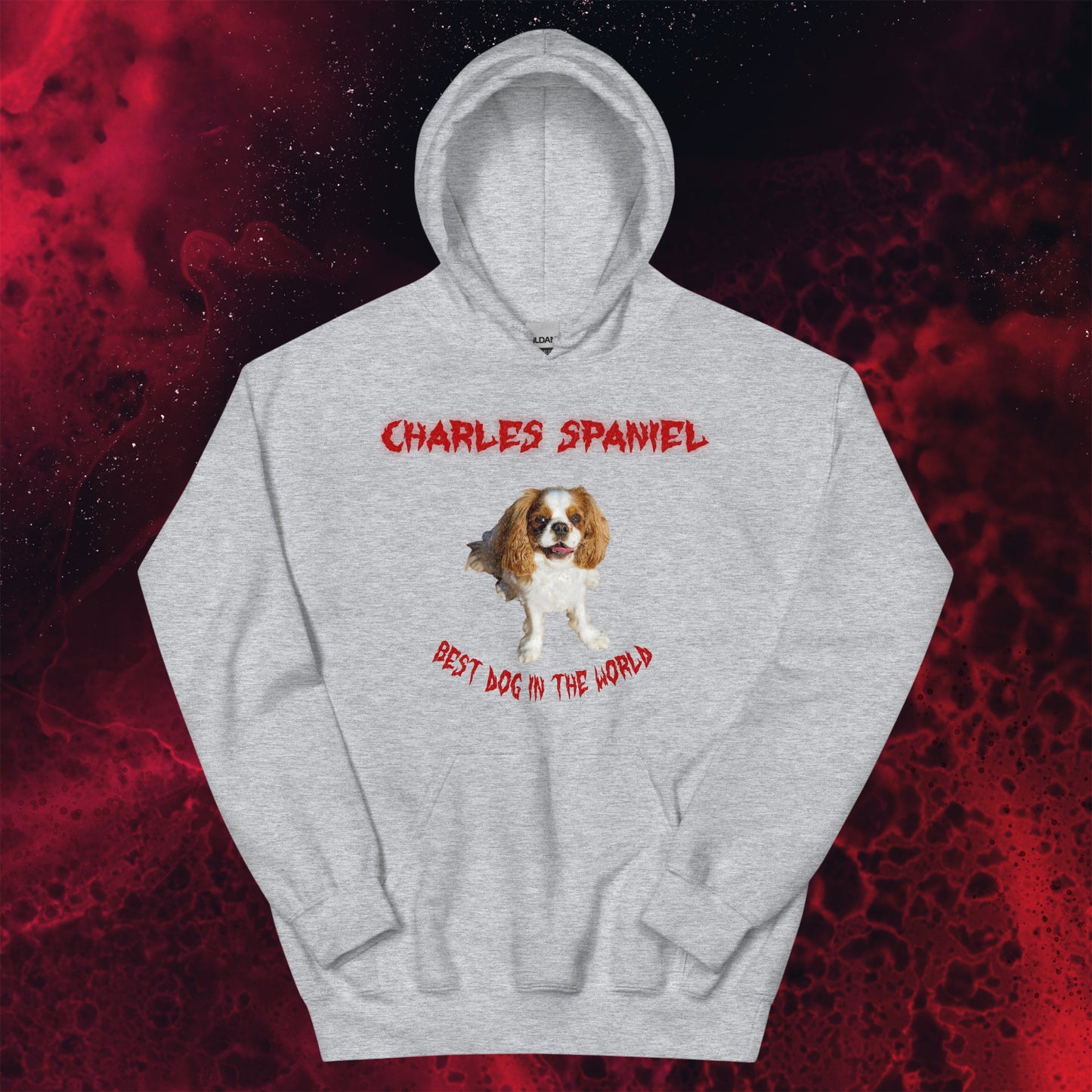 Red Hell Sweatshirt for Men Gift For Women and Dog Lover