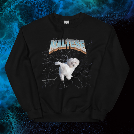 Lightning Sweatshirt for Men Gift For Women and Dog Lover