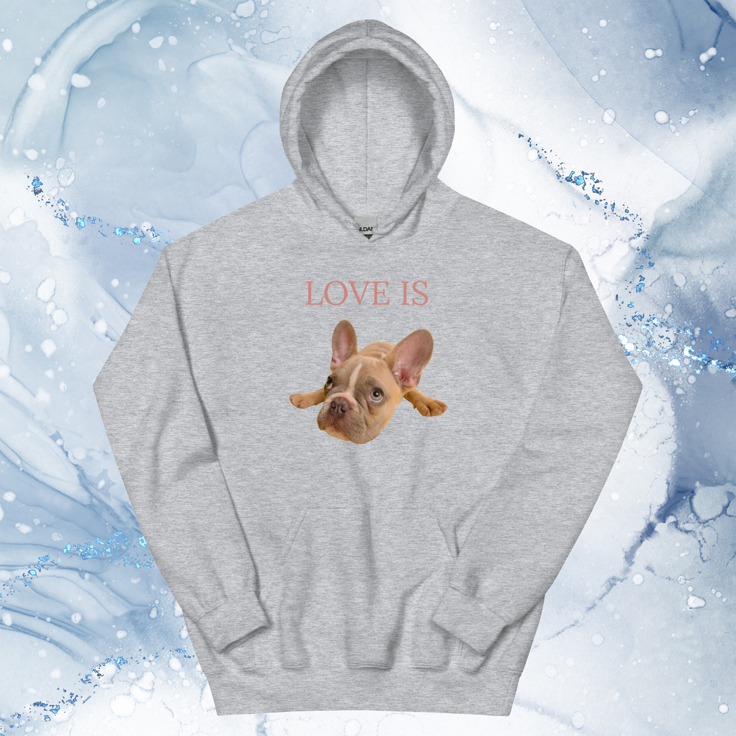 Love Is Hoodie for Men Gift For Women and Dog Lover