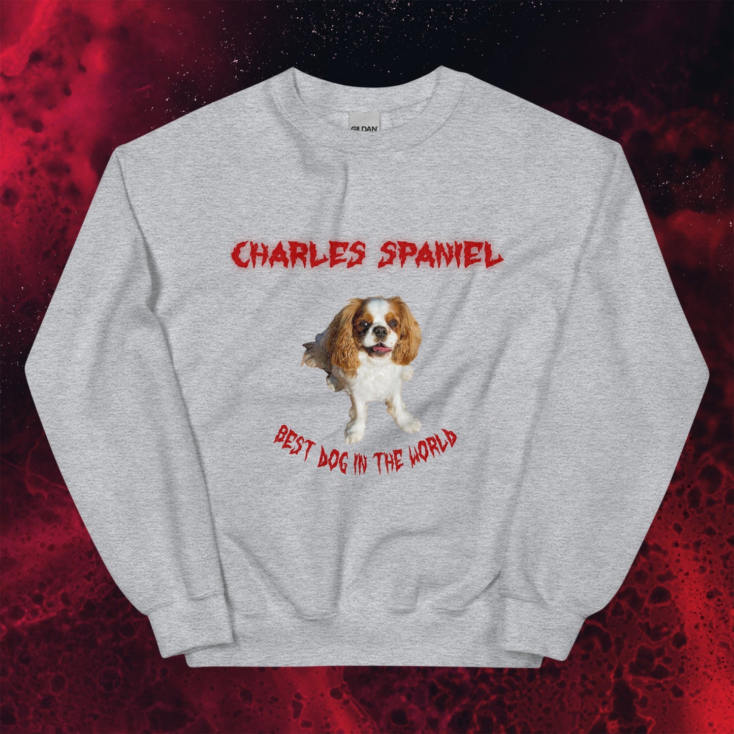 Red Hell Hoodie for Men Gift For Women and Dog Lover