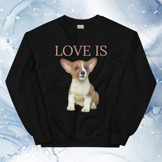 Love Is Sweatshirt for Men Gift For Women and Dog Lover