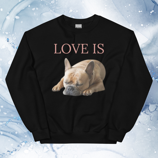 Love Is Sweatshirt for Men Gift For Women and Dog Lover