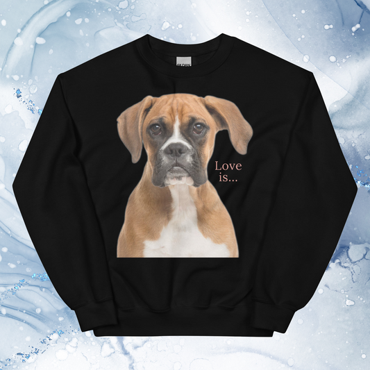 Love Is Sweatshirt for Men Gift For Women and Dog Lover