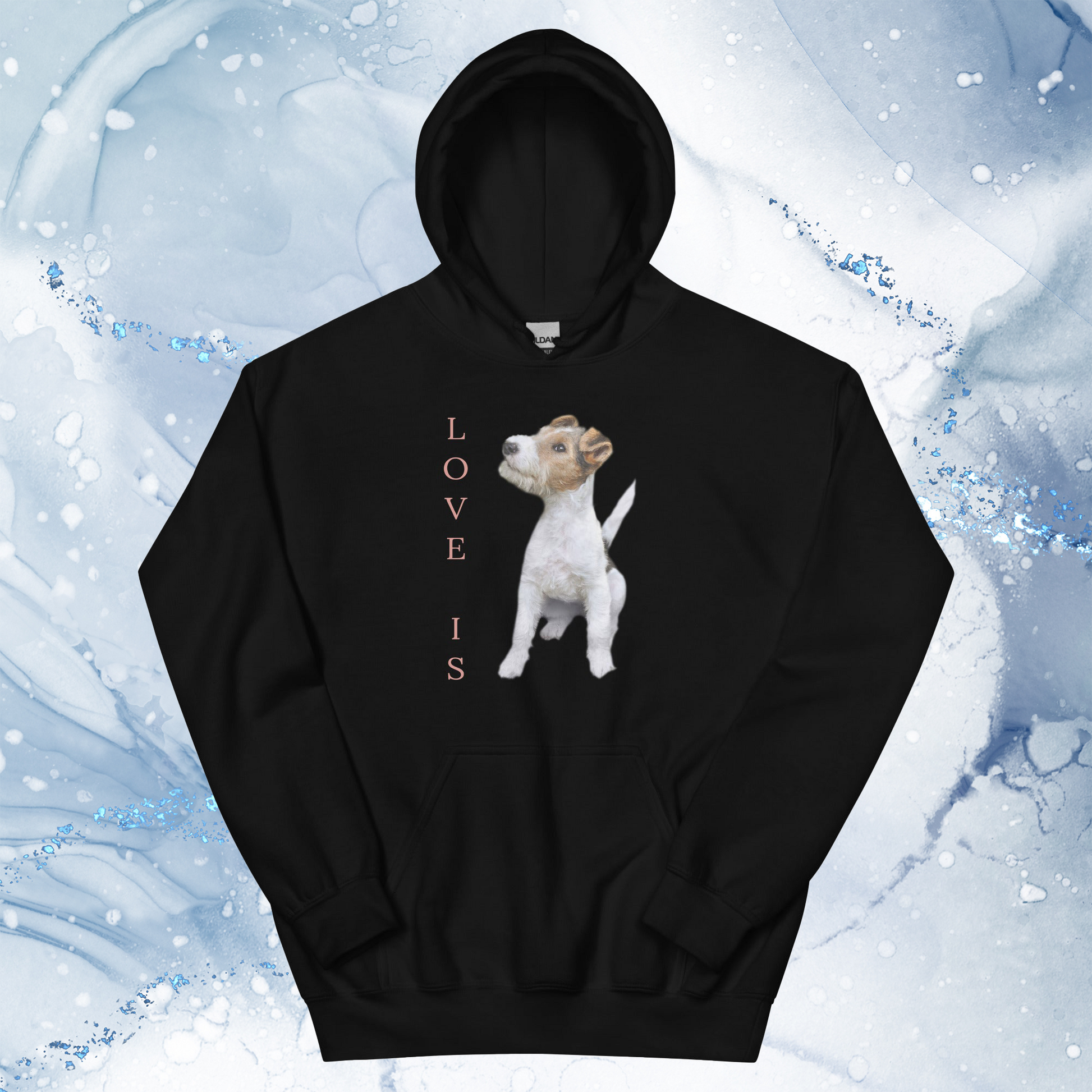 Love Is Hoodie for Men Gift For Women and Dog Lover