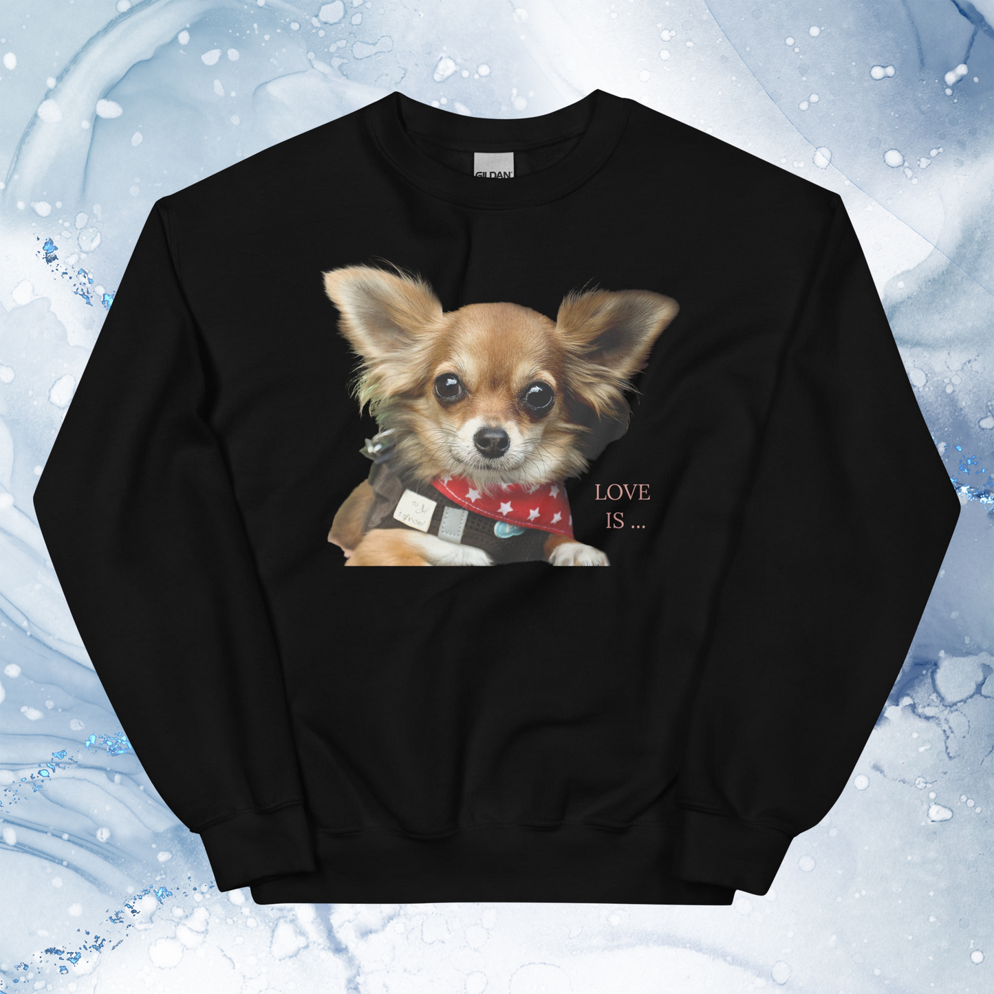 Love Is Sweatshirt for Men Gift For Women and Dog Lover