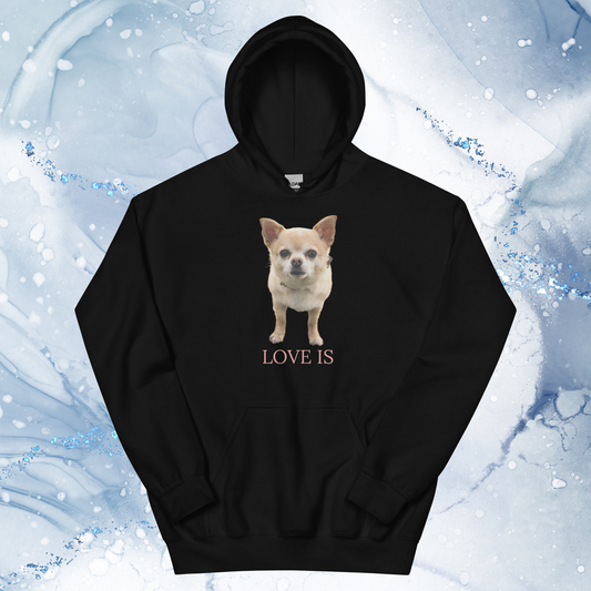 Love Is Hoodie for Men Gift For Women and Dog Lover