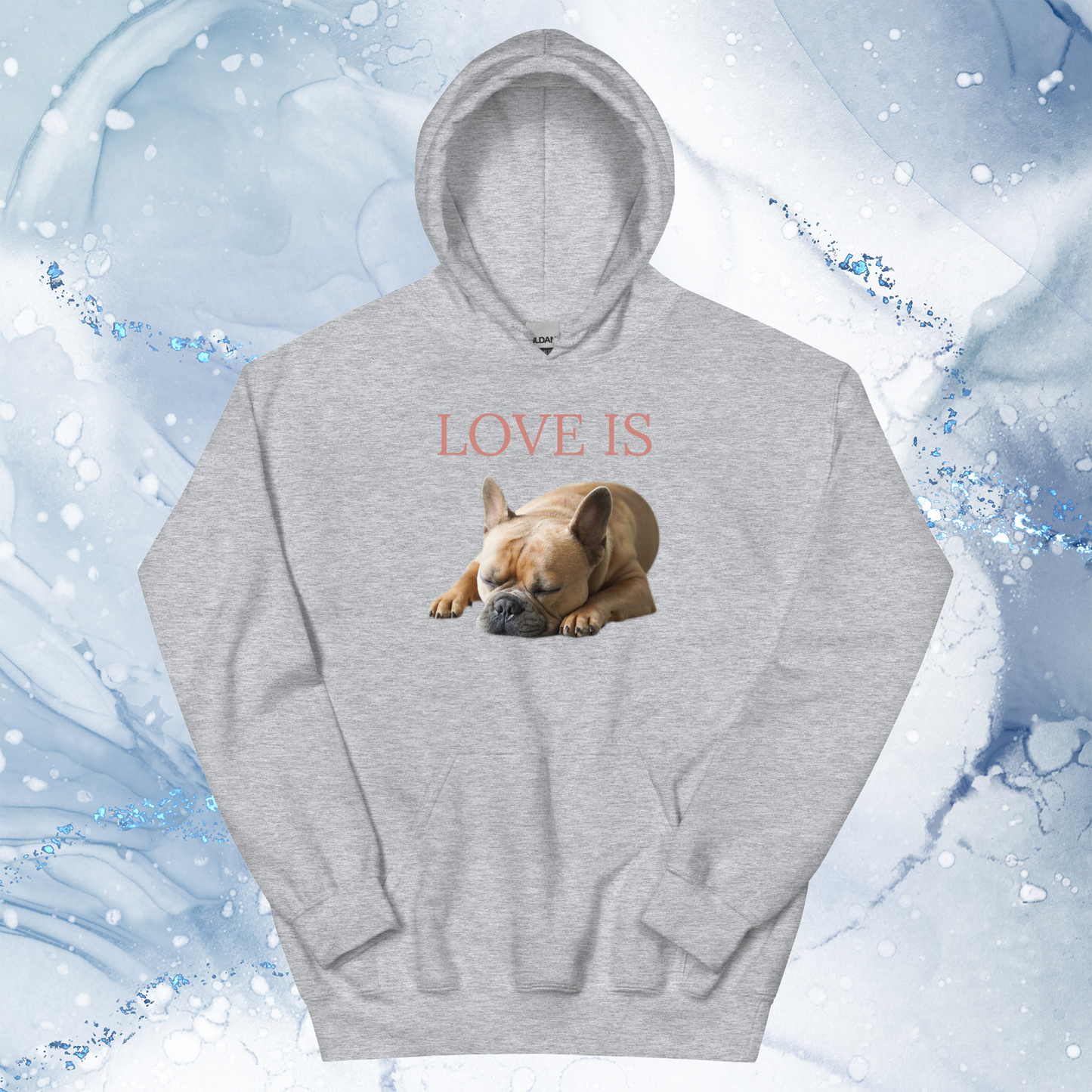 Love Is Hoodie for Men Gift For Women and Dog Lover