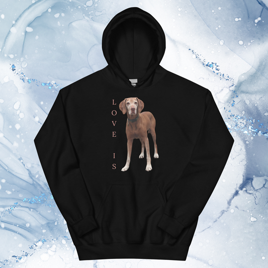 Love Is Hoodie for Men Gift For Women and Dog Lover